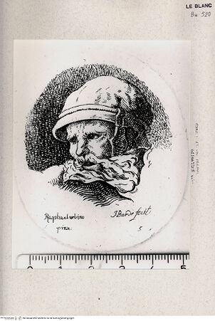 Vorderseite von Veste Coburg [http://creativecommons.org/publicdomain/mark/1.0/] Kopf eines alten Mannes (Detail aus der "Schlacht an der Milvischen Brücke") - , bh350044. Foto.