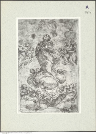 Vorderseite von bh350264_recto