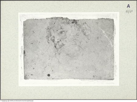 Vorderseite von bh350266_recto