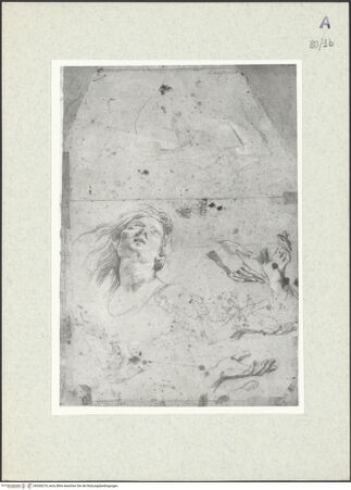 Vorderseite von bh350274_recto