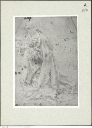 Vorderseite von bh350276_recto