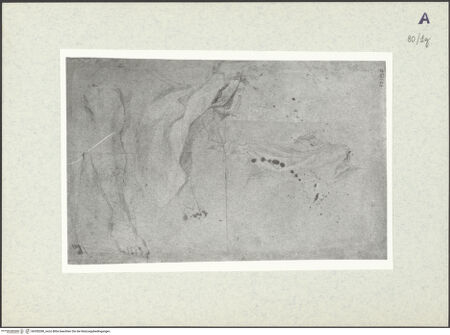 Vorderseite von bh350280_recto