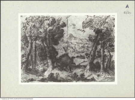 Vorderseite von bh350281_recto