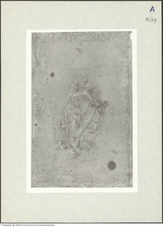 Vorderseite von bh350284_recto