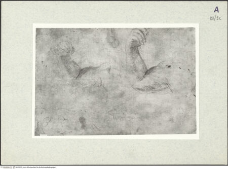 Vorderseite von bh350285_recto