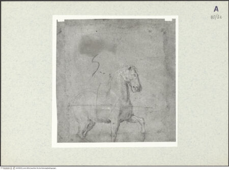 Vorderseite von bh350323_recto