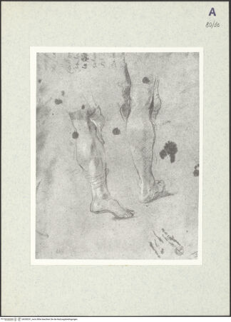 Vorderseite von bh350331_recto