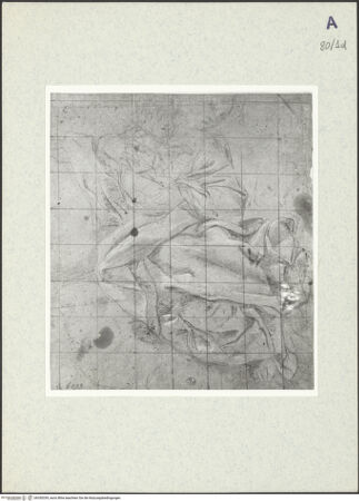 Vorderseite von bh350339_recto