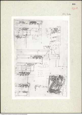Vorderseite von Kunstbibliothek [https://www.deutsche-digitale-bibliothek.de/content/lizenzen/rv-ez/] Codex Destailleur DSeptimus-Severus-Bogen: Details einer Agraffenvolute und aus dem Gebälk - , bh350368_recto. Foto.
