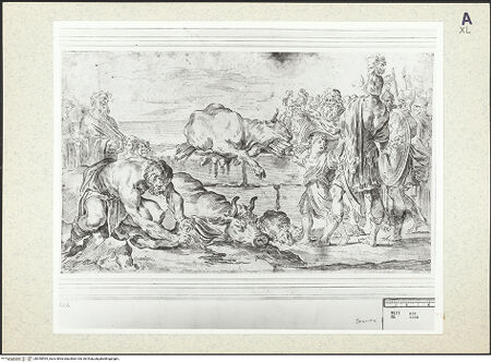 Vorderseite von bh350595_recto