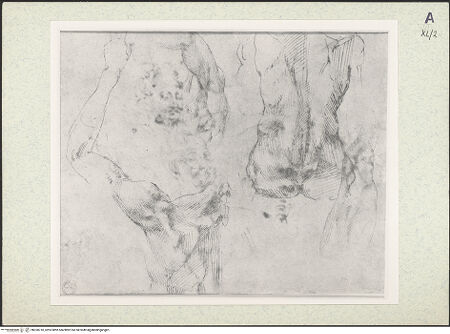 Vorderseite von bh350710_recto