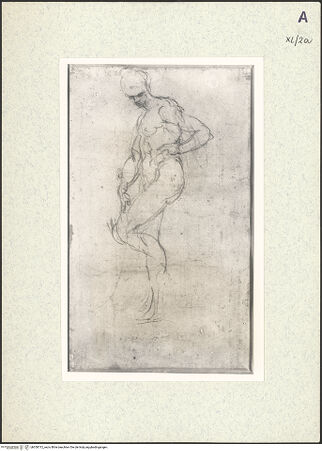 Vorderseite von bh350712_recto