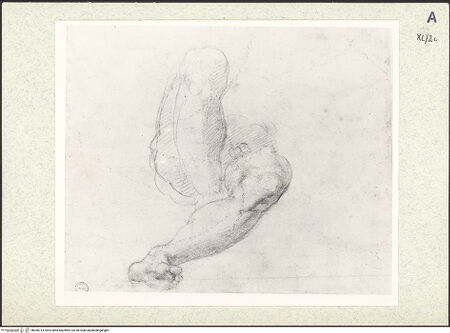 Vorderseite von bh350714_recto