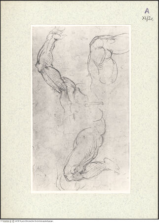 Vorderseite von bh350716_recto