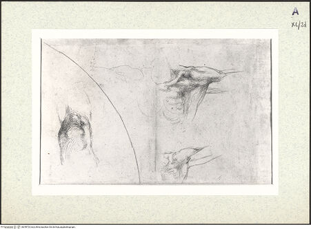 Vorderseite von bh350723_recto