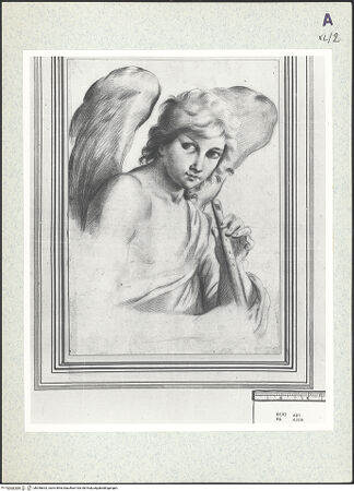 Vorderseite von bh350833_recto