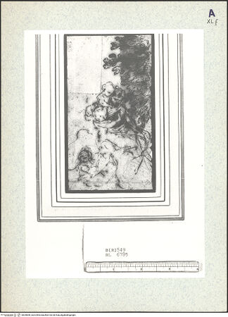 Vorderseite von bh350846_recto