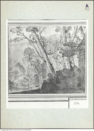 Vorderseite von bh350847_recto