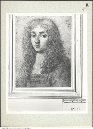 Vorderseite von bh350855_recto