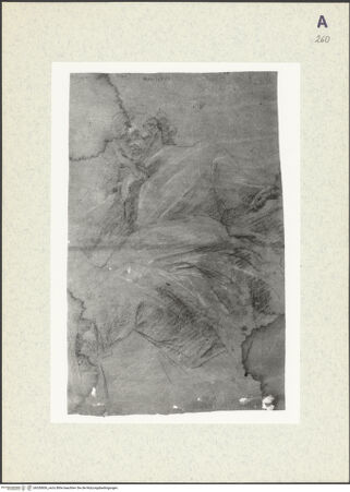 Vorderseite von bh350856_recto