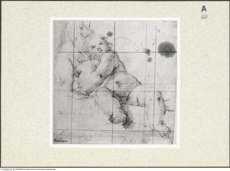 Vorderseite von bh350858_recto