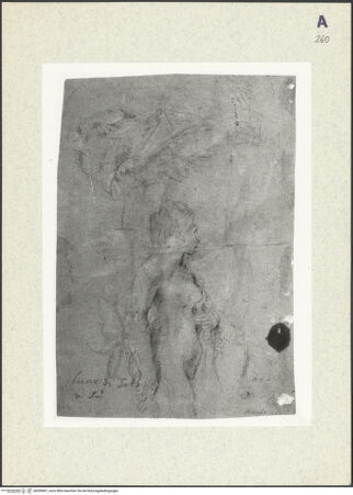 Vorderseite von bh350867_recto