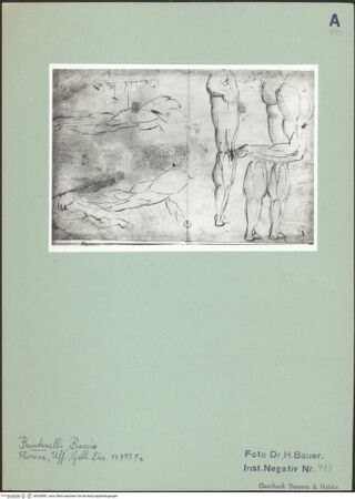 Vorderseite von bh350881_recto