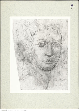 Vorderseite von bh351040_recto