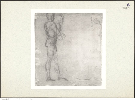 Vorderseite von bh351049_recto