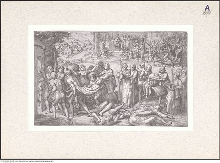 Vorderseite von bh351066_recto