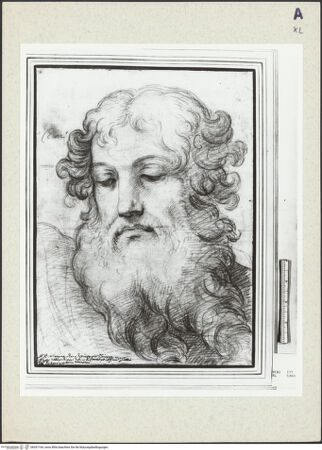 Vorderseite von bh351164_recto