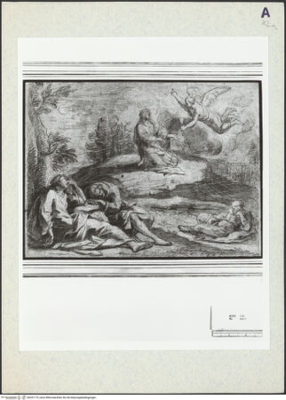 Vorderseite von bh351179_recto