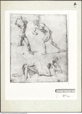 Vorderseite von bh351235_recto