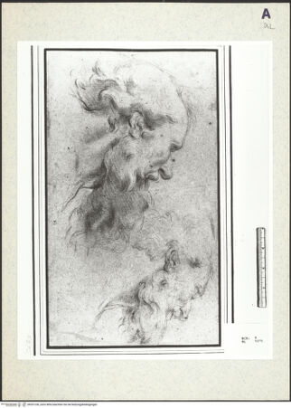 Vorderseite von bh351236_recto