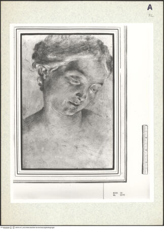 Vorderseite von bh351237_recto