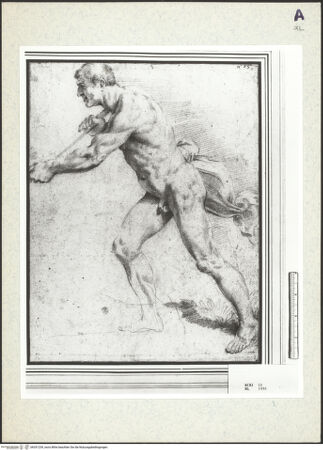 Vorderseite von bh351239_recto