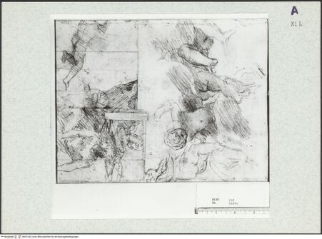 Vorderseite von bh351243_recto