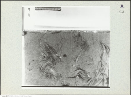 Vorderseite von bh351290_recto