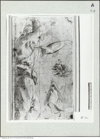 Vorderseite von bh351291_recto