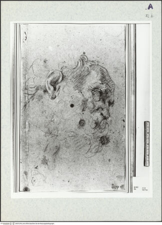 Vorderseite von bh351294_recto