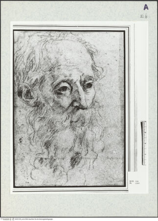 Vorderseite von bh351295_recto