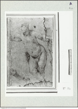 Vorderseite von bh351296_recto