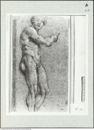 Vorderseite von bh351297_recto