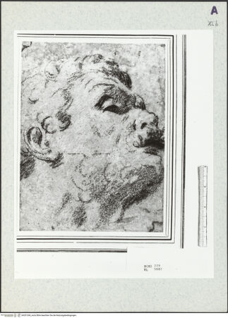 Vorderseite von bh351306_recto