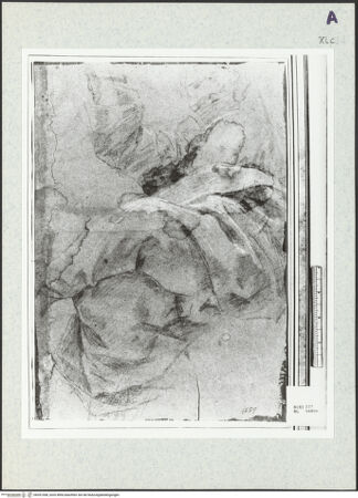 Vorderseite von bh351308_recto