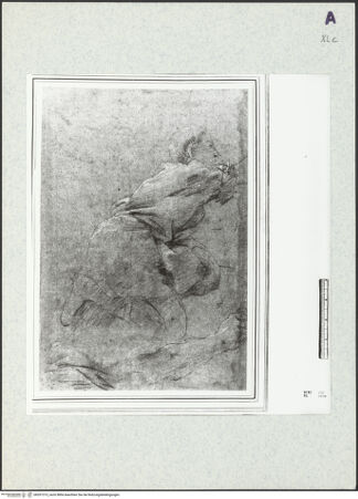 Vorderseite von bh351313_recto