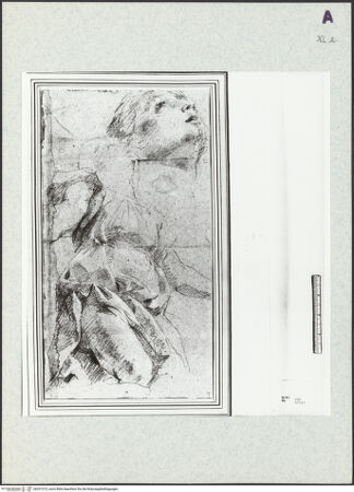 Vorderseite von bh351315_recto