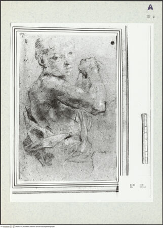 Vorderseite von bh351319_recto