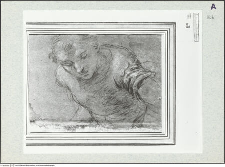 Vorderseite von bh351324_recto