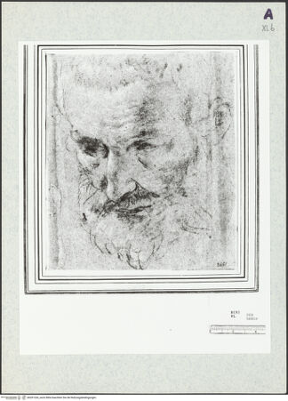 Vorderseite von bh351326_recto